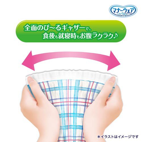 マナーウェア 長時間快適オムツ 男の子用 L 犬用(34枚入×16セット)[ペットシーツ・犬のトイレ用品]_2
