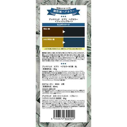 エブリィフィッシュ エブリ ヘアカラー フィッシュブルー(12箱セット)[女性用ヘアカラー]の