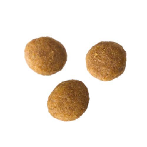 i CARE キャットドライ 子ねこ用 フィッシュ＆チキン味(1200g×6セット)[キャットフード(ドライフード)]_2