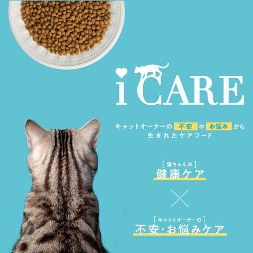 i CARE キャットドライ 子ねこ用 フィッシュ＆チキン味(1200g×6セット)[キャットフード(ドライフード)]_3