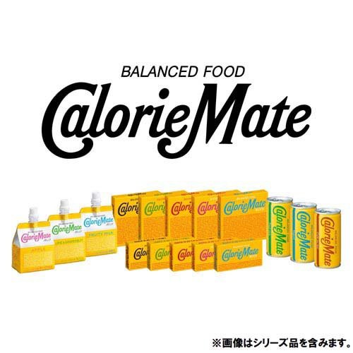 カロリーメイト チョコレート味(4本入*30コ入)[バランス 栄養]の