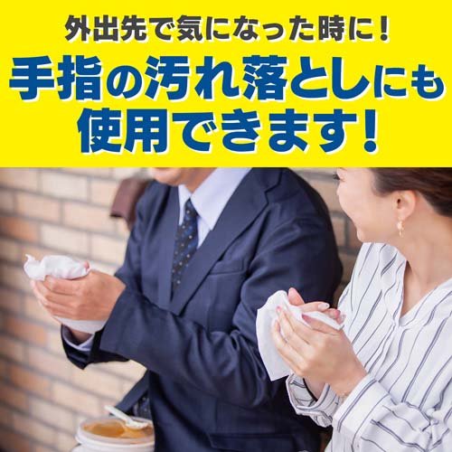 イータック抗菌化ウエットシート アルコールタイプ(10枚入*96袋セット)[衛生用品 その他]_4