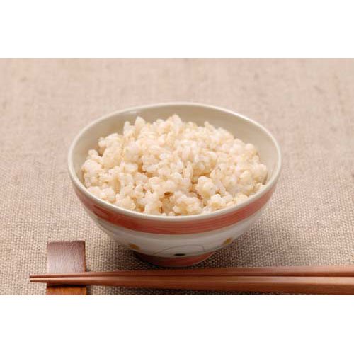 秋田県産あきたこまち 発芽玄米 鉄分(900g*5袋セット)[発芽玄米]_3