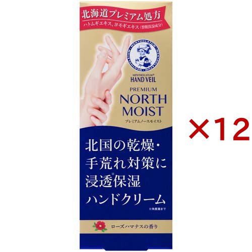 HOTEL シーズン3 《レンタル落ち／ケース無し》 全12巻 [DVD