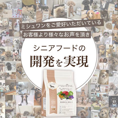 ミシュワン シニアドッグフード 国産鶏肉＆馬肉(1kg×2セット