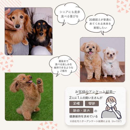 ミシュワン シニアドッグフード 国産鶏肉＆馬肉(1kg×2セット