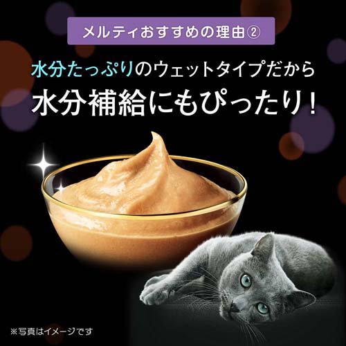 シーバ とろ〜り メルティ とりささみ＆お魚味セレクション(40本入×6セット(1本12g))[猫のおやつ・サプリメント]