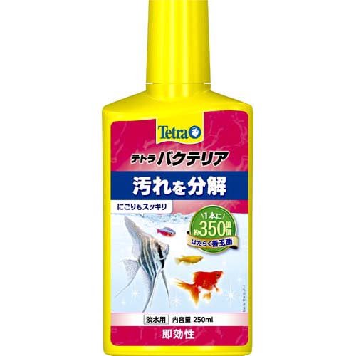 テトラ バクテリア(250ml)[アクアリウム用水質調整]