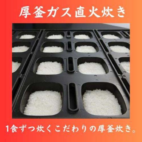 サトウのごはん 銀シャリ(5食入×8仕かける(1食あたり200g))[上げ米・お粥]