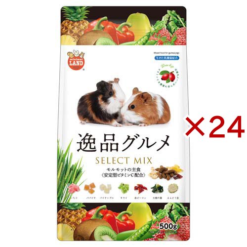 モルモットの主食 逸品グルメ(500g×24セット)[小動物のフード]