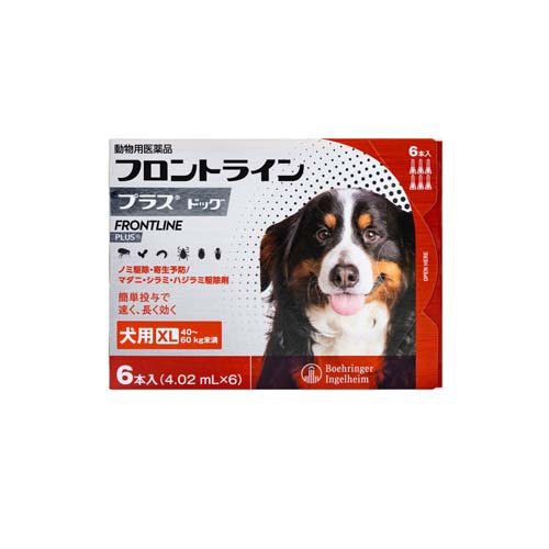 【動物用医薬品】フロントラインプラス 犬用 XL 40〜60kg未満(6本入)[犬用]