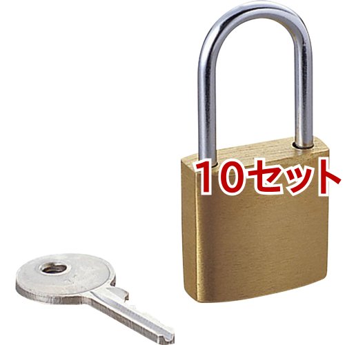 エレコム 南京錠 ESL-NK(10セット)[生活用品 その他]