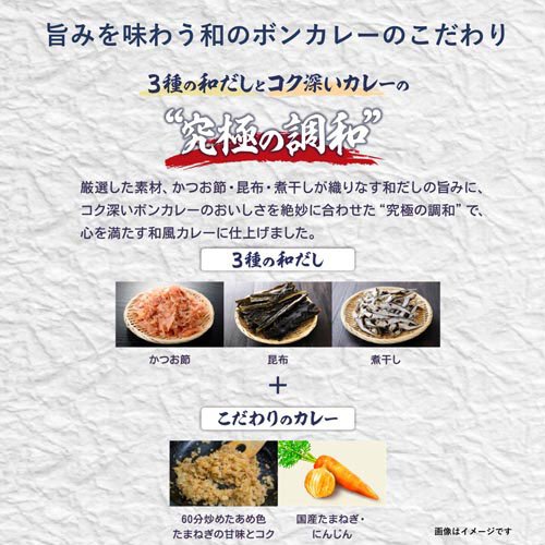 旨みを味わう和のボンカレー こだわりだしの和風カレー(210g×30セット)[レトルトカレー]