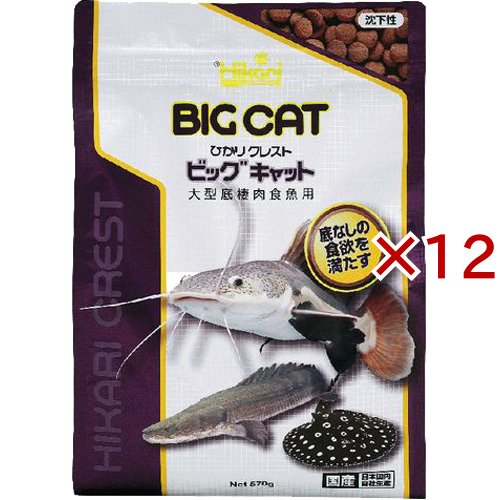 ひかり クレスト ビッグキャット(570g×12セット)[観賞魚用 餌(エサ)]
