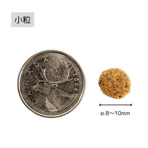 PK TripeDry SAPグリーンラムトライプ 小粒(6.35kg)[ドッグフード(ドライフード)]