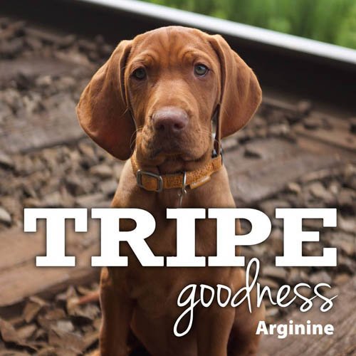 PK TripeDry SAPグリーンラムトライプ 小粒(6.35kg)[ドッグフード(ドライフード)]