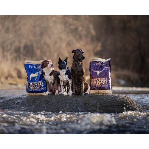 PK TripeDry SAPグリーンラムトライプ 小粒(6.35kg)[ドッグフード(ドライフード)]