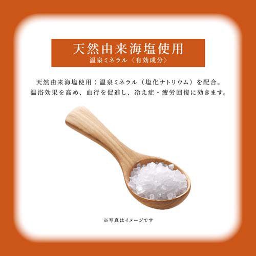 旅の宿 薬用バスソルト 発汗温浴(35g×48セット)[入浴剤 その他] 旅の宿 薬用バスソルト 発汗温浴(35g×48セット)[入浴剤 その他]の通販