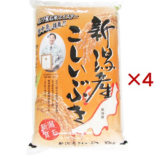 令和7年産 新潟産こしいぶき(10kg×4セット)[精米]