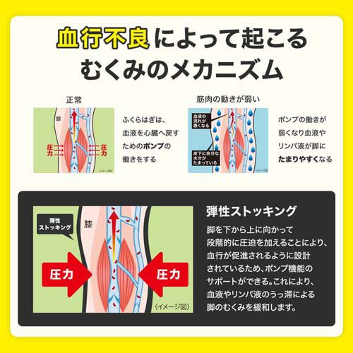 メディキュット リンパケア 弾性 着圧 スパッツ むくみケア Mサイズ 一般医療機器(1足*2コセット)[圧力ストッキング パンストタイプ]_2