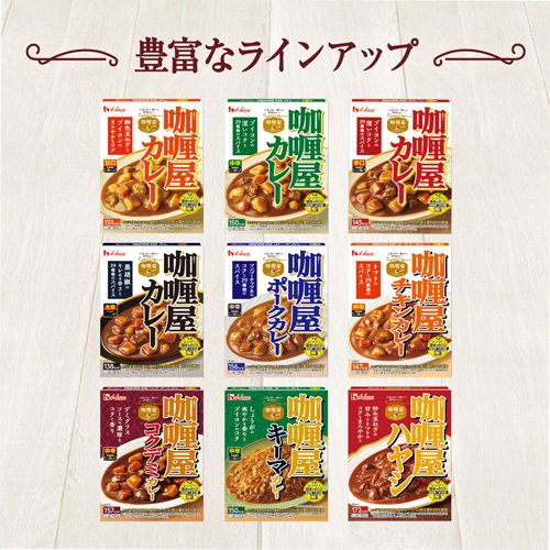 カリー屋ハヤシ(180g*60箱セット)[インスタント食品 その他]_4