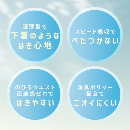 大人用おむつ Lサイズ リフィール 超薄型パンツ 快適下着 NAD-L22-2(22枚入×8セット)[大人紙おむつ パンツ]_1