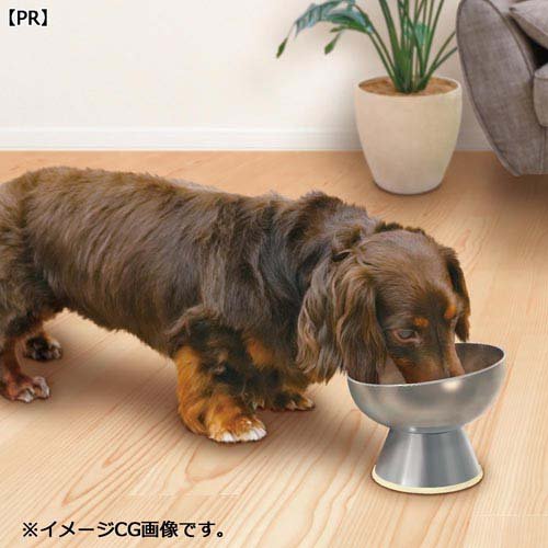ステンレスのテーブル食器 犬用 M(6セット)[ペットの雑貨・ケアグッズ]_1