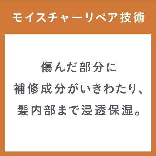 エッセンシャル しっとりまとまる ポンプペア＋詰替ペア(1セット