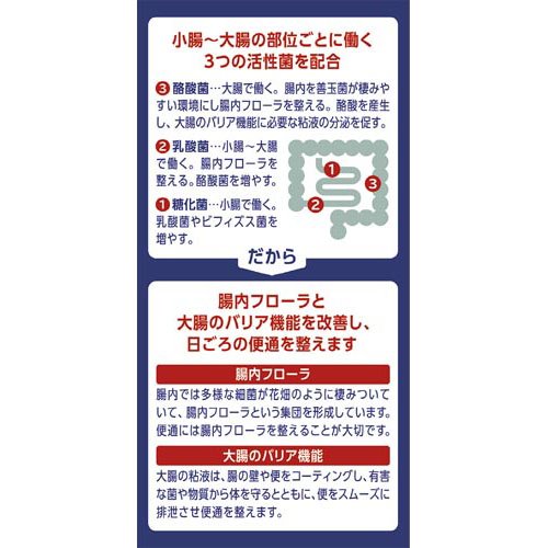 ビオスリー Hi錠(270錠×5セット)[乳酸菌サプリメント その他]_3