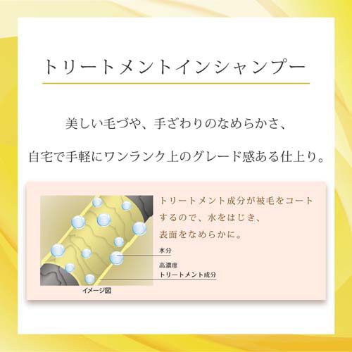 新品・4営業日で発送】ヒサゴ マルチプリンタ帳票 A4判3面カラー 新品・4営業日で発送】ヒサゴ マルチプリンタ帳票 A4判3面カラー