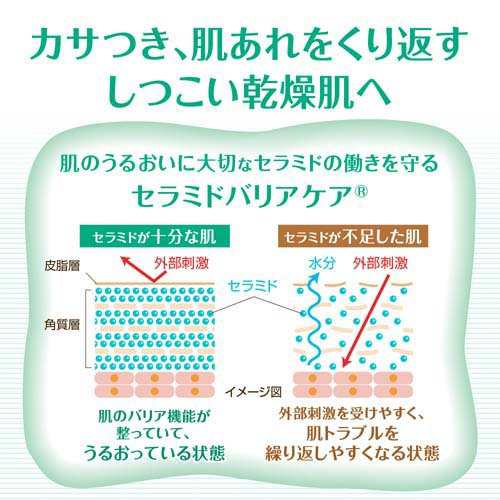 ケアセラ 泡の高保湿ボディウォッシュ つめかえ用 特大(1000ml×6セット)[ボディソープ]