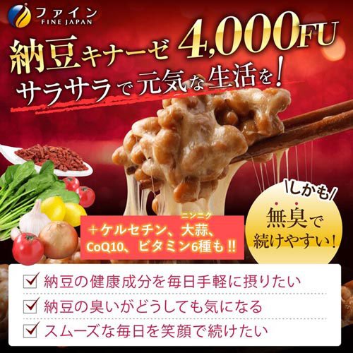ファイン 納豆キナーゼ 30日分(240粒入×10セット(1粒250mg))[納豆キナーゼ]_4