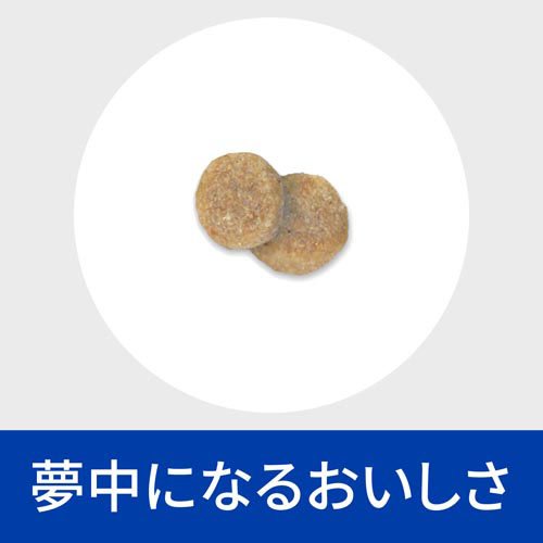 k/d   チキン入り 腎臓ケア 犬用 特別療法食 ドッグフード ドライ ケイディー(3kg)[犬用特別療法食]_6