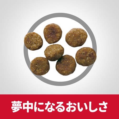 ドッグフード シニアアドバンスド 小粒 13歳以上 チキン 高齢犬 お試し ドライ(3.3kg*2袋セット)[ドッグフード(ドライフード)]_2
