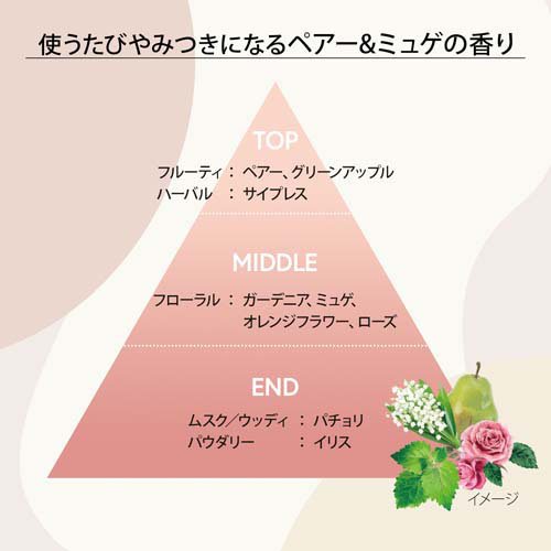 ビオリス ピュアレタッチ ぱやとぅや ヘアコンディショナー(480mL×12セット)[ダメージケアリンス・コンディショナー]_2