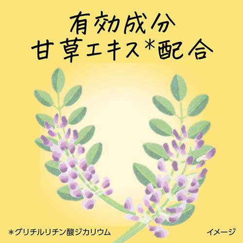 メリット リンスのいらないシャンプー つめかえ用(1800ml×6セット)[リンスインシャンプー]_3