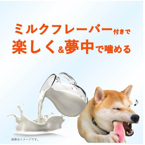 チューデント 歯みがきおもちゃ ソフトタイプ ボーン M ミルクフレーバー(48セット)[犬のおもちゃ・しつけ]_2
