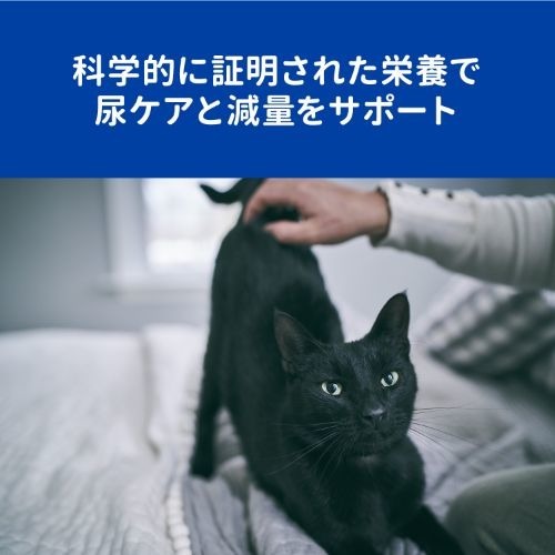ヒルズ プリスクリプション ダイエット 猫 メタボリックス ユリナリー コンフォート 4kg 猫用特別療法食 の通販はau Pay マーケット 爽快ドラッグ