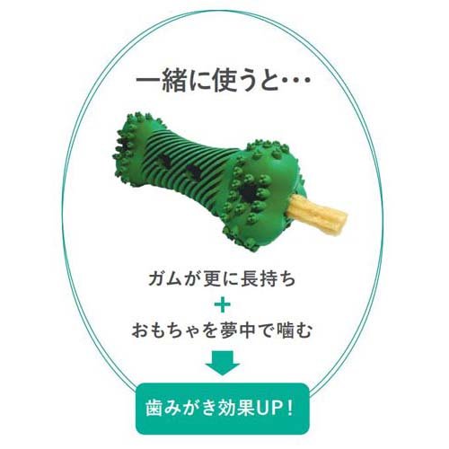 ハーツ チューデント 歯ブラシおもちゃ S 〜5kg 犬用(24セット)[犬のおもちゃ・しつけ]_1