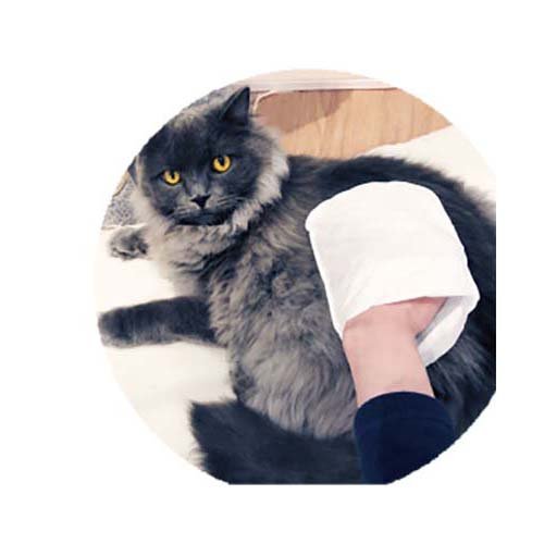 ペットキレイ ミトンでらくらくシャンプータオル 猫用(15枚入*48袋セット)[ペットの雑貨・ケアグッズ]