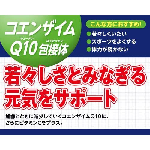 DHC コエンザイムQ10 60日分 6袋 DHC コエンザイムQ10 包接体 60日分(120粒*6袋セット)[コエンザイムQ10