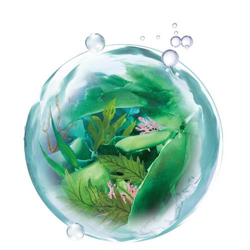 ラサーナ 海藻 ヘア エッセンス しっとり Sサイズ(25ml*12個セット)[トリートメント・ヘアケア その他]_3