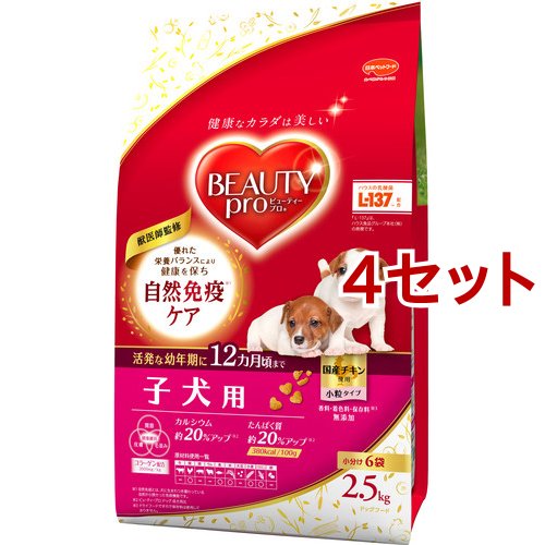 ビューティープロ ドッグ 子犬用 12ヵ月頃まで 小分け6袋入(2.5kg*4セット)[ドッグフード(ドライフード)]