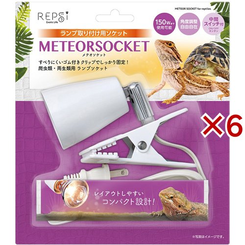 REPSI メテオソケット 爬虫類・両生類用(6セット)[は虫類]