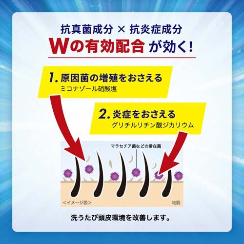 メディクイックH 頭皮のメディカルシャンプー すっきり ポンプ(320ml×12セット)[フケ・かゆみ・スカルプケアシャンプー]_2