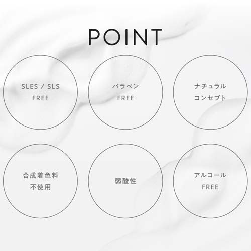 レイヴィー ミルキートリート ヘアシャンプー(450ml×12セット