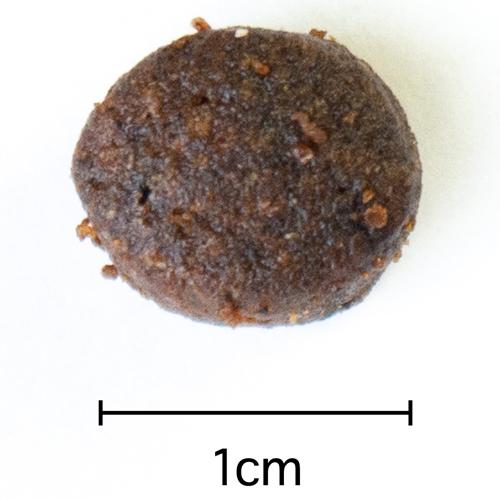 アレヴァホリスティック 犬用チキン＆ダック+アロエベラ＆ジンセン(2kg*6袋セット)[ドッグフード(ドライフード)]_4