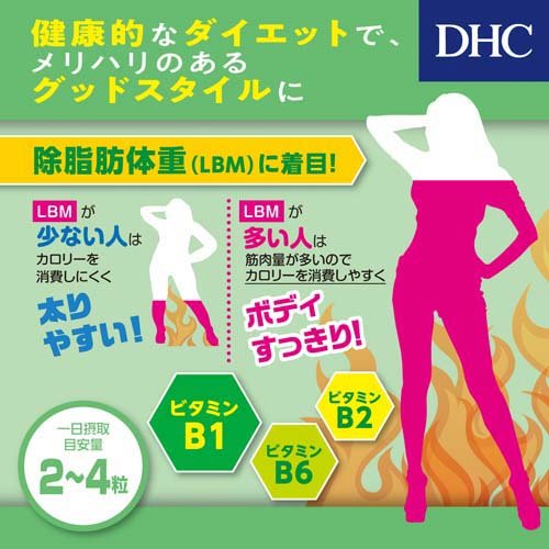DHC フォースコリー 20日分(80粒*6袋セット)[ダイエットサプリメント その他]_3