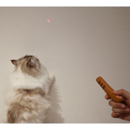 ドギーマン じゃれ猫 LEDニャンだろ〜？！光線(48セット)[猫のおもちゃ・しつけ]_3