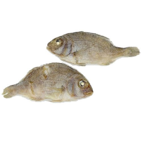 HELLS KITCHEN 海鮮堂 干し真鯛(15g×60セット)[犬のおやつ・サプリメント]_1